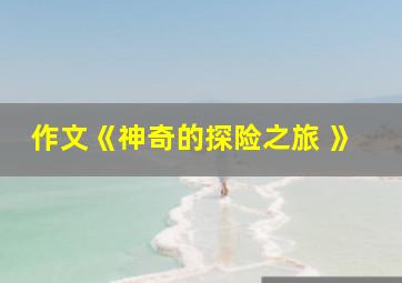 作文《神奇的探险之旅 》